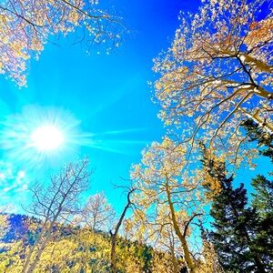 Meet your Posher, Ali